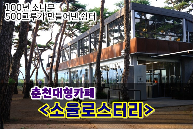  춘천 야외 카페 소울로스터리 옥수수커피 소금빵 웅장한 소나무밭 리버뷰 핸드드립