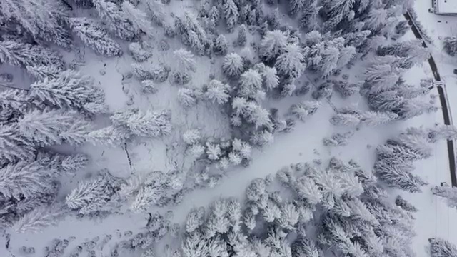  심리분석자격증 , 심리분석상담사 자격증 취득했던 후기 정리했어요