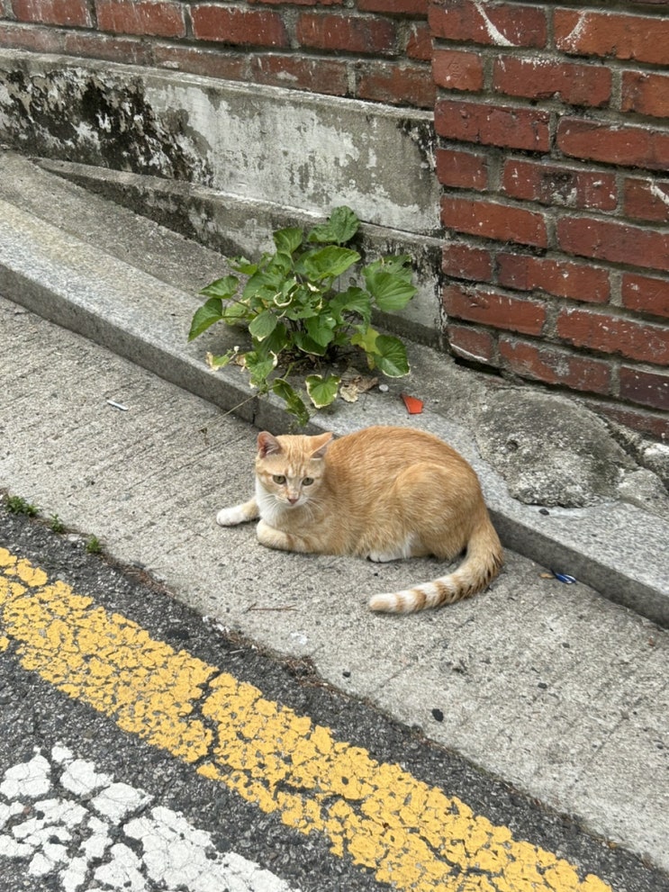  일상~