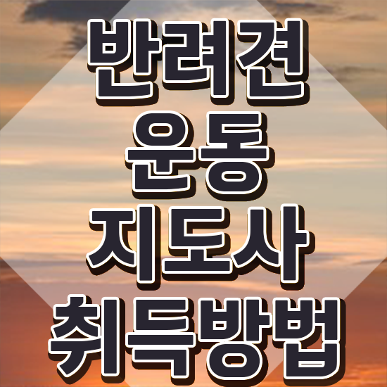  , 반려견운동지도사자격증 응시자격 없이 합격한 후기
