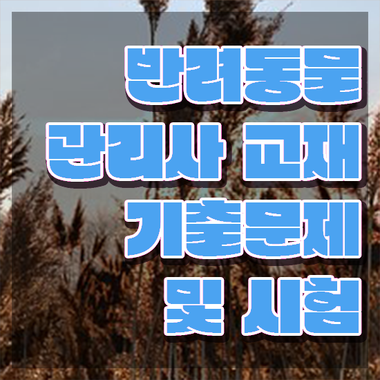  반려동물 웹툰 , 반려동물관리사 자격증 합격한 후기 정보 가득