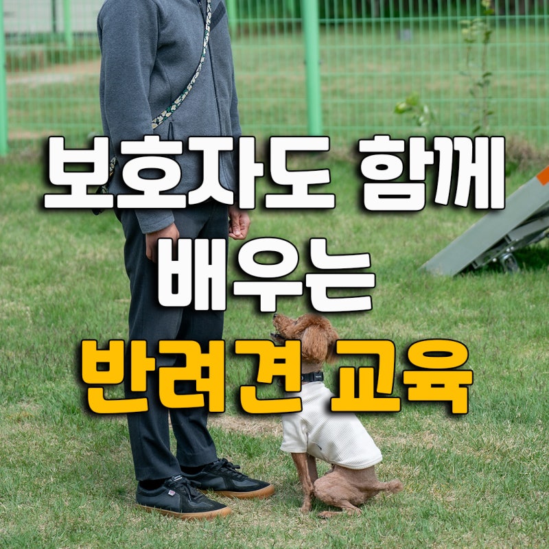 사진 10