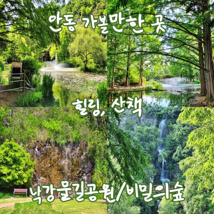  [안동] 가볼만한 곳 힐링, 산책 낙강물길공원, 비밀의 숲, 안동댐 여행 추천 포토존, 주차장