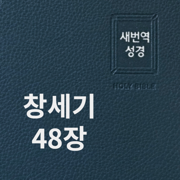 창세기 48장 창세기 48장
