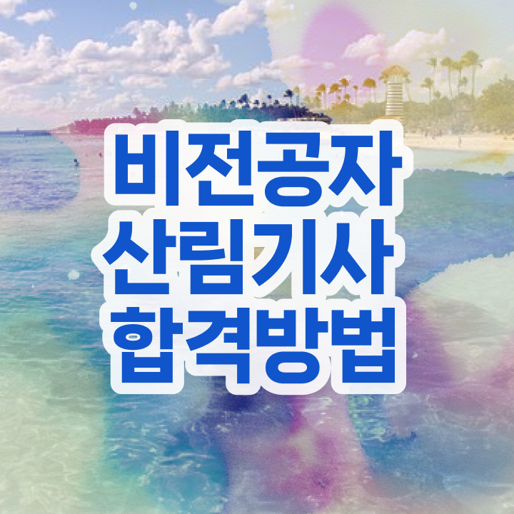  산림기사 시험일정 산림기사 시험응시자격 온라인 수업으로 간편하게 성공한 후기