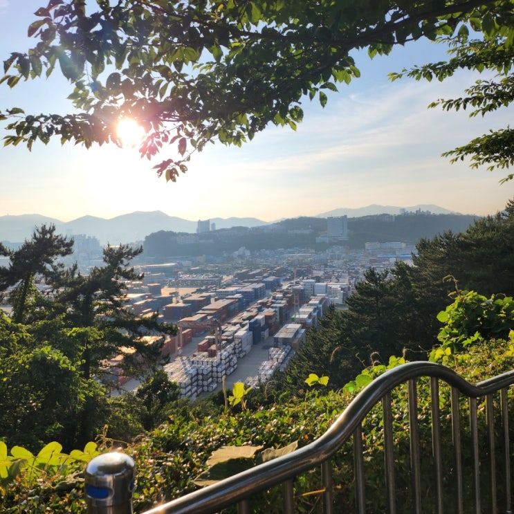  부산 남구 남파랑해파랑길 등산 산책하기 좋은 곳