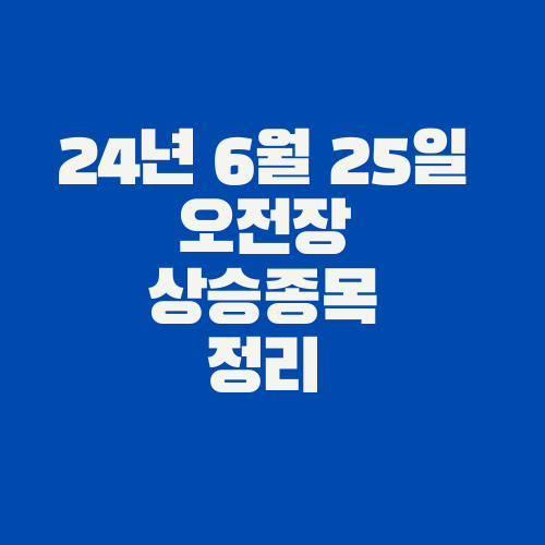  24년 6월 25일 오전장 상승종목 정리 /  코스닥, 추락의 끝은 어디인가?
