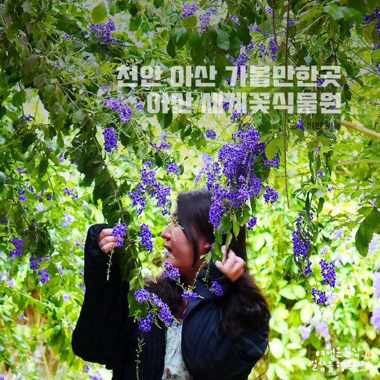  천안 근교 데이트, 아산 세계꽃식물원 비오는날 데이트 가볼만한곳, 고양이