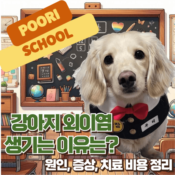 강아지 외이염 원인 증상 치료 비용 기간