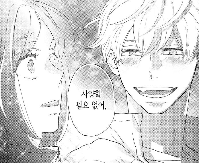  [순정만화리뷰] 태양보다 눈부신 별