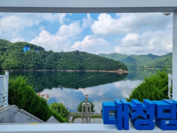  [마음 알아차리기] 이게 되네