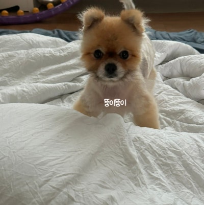 사진 5