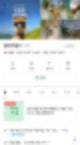 강원도 홍천 | 강원도 알파카월드 근교 당일 여행 산책 먹이주기 체험과 알파카 위주 후기