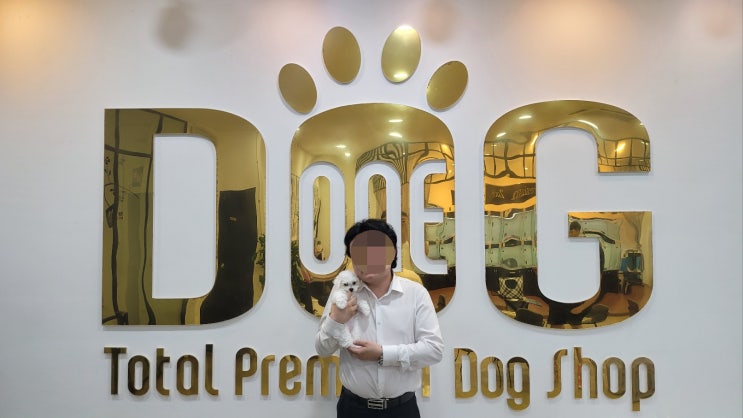  순한 성격에 모량까지 완벽한 미니 비숑, 원독에서 만나다/세종시강아지분양 세종애견샵 세종시애견샵