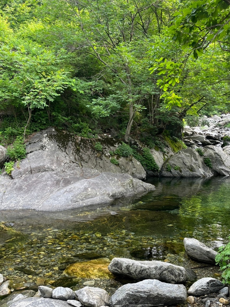  가평 화악산계곡 여름휴가 추천! 깊은산계곡산장 1박 2일 숙박 후기