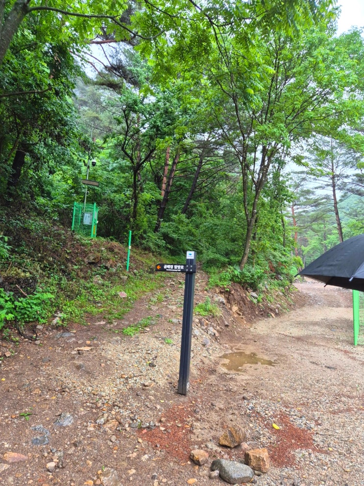  [역장투어 답사기] 곰배령 코스 탐방기 (곰배골)