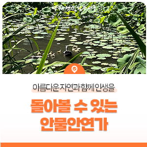 안물안연가 사진 2