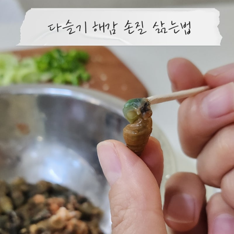 민물다슬기 올갱이해감 손질 삶는법 이렇게