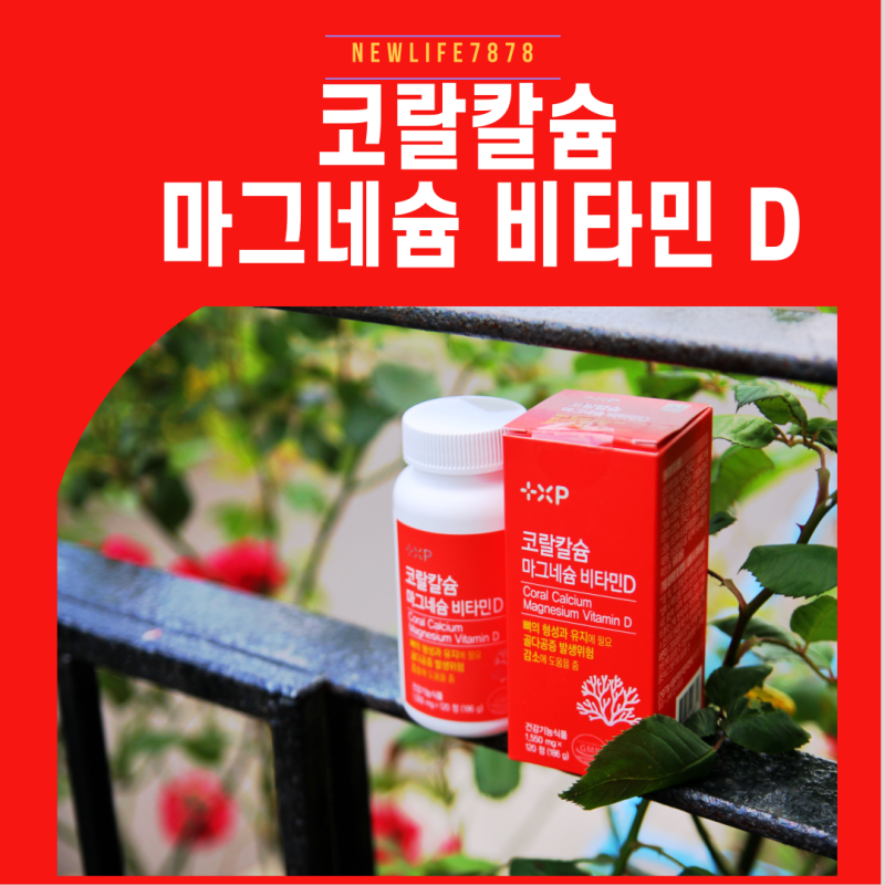 40대 여성에게 꼭 필요한 뼈와 근육 건강 영양제 코랄칼슘 마그네슘 비타민 D