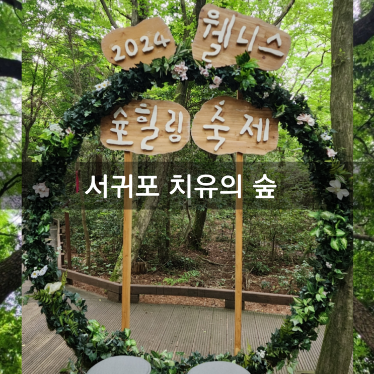  웰니스 숲힐링 축제 박소은 강사의 <어르신 초청 특별강연> 서귀포 치유의 숲