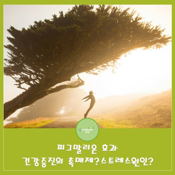  피그말리온 효과: 건강 증진의 촉매제인가, 스트레스의 원인인가?