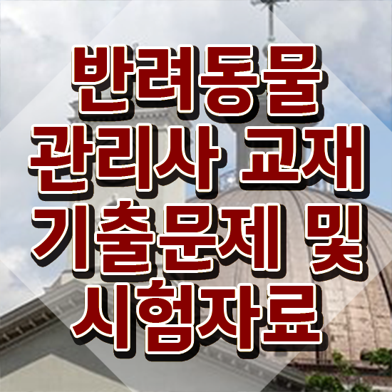 고양이 반려동물 등록 , 반려동물관리사 자격증 쉽고 빠르게 준비한 방법 완벽 정리