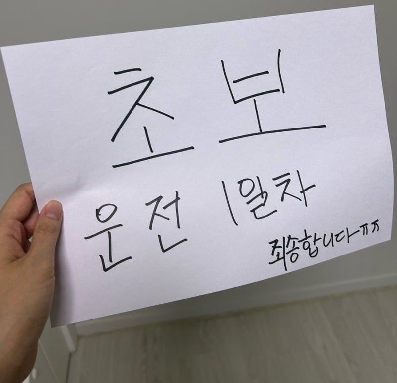 카카오톡으로 자동차 일일보험 당일 가입방법, 보험가격