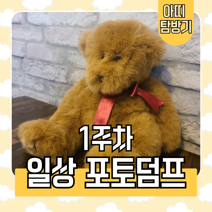  먹을 일만 가득한 일상log