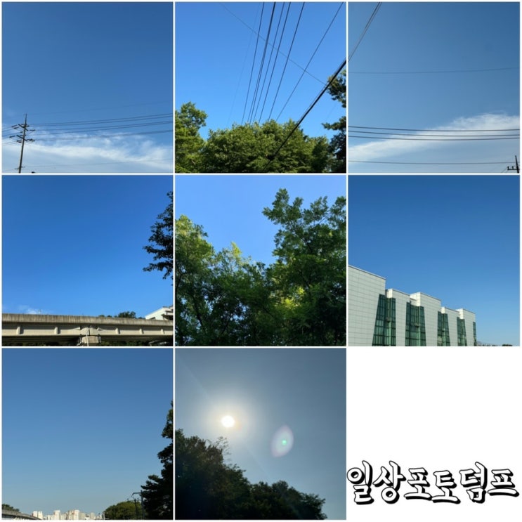  일상 포토덤프 1주차 출근때 파란색의 하늘보기