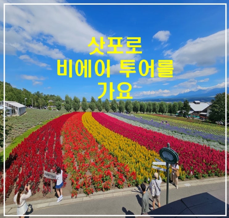 훗카이도 삿포로 비에이 투어 가족여행 팜토미타 아오이이케