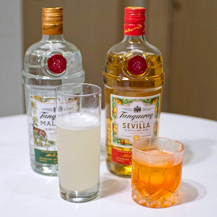  [내돈내산]디스틸드 진, 탱커레이 세비야 & 말라카 : 진(Gin) 비교 리뷰 (+탱커레이 NO.10)