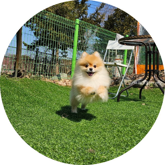 사진 5