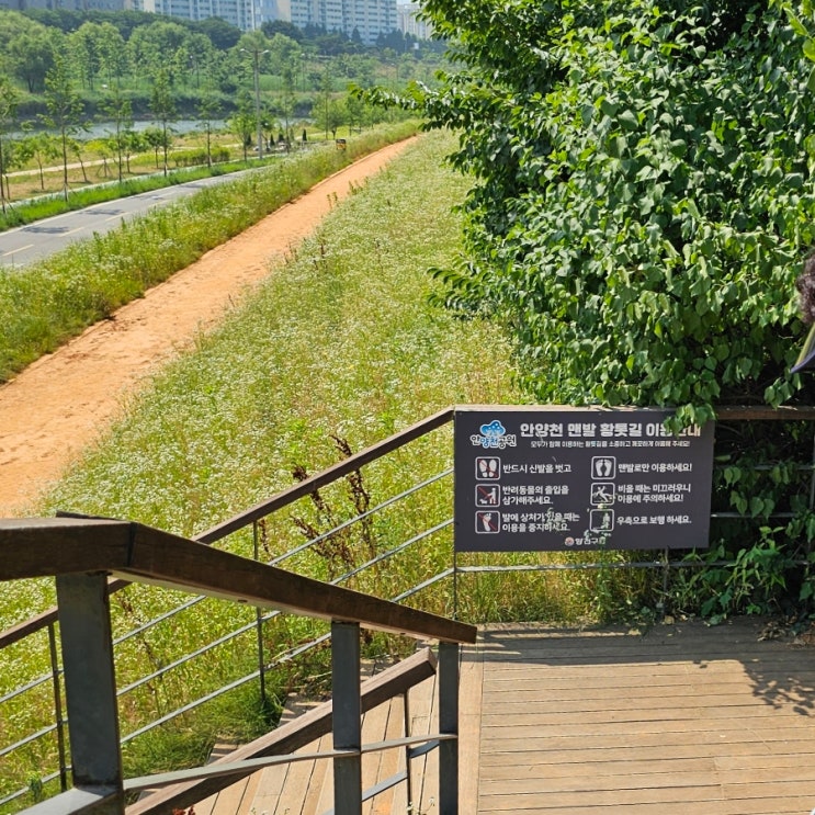  목동 오목교역 안양천 맨발 황톳길