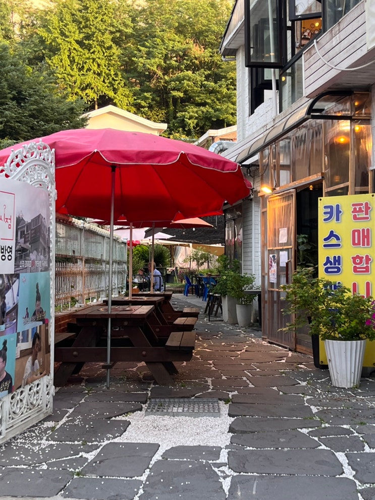  정릉 맛집 한라산도새기 애견동반 가능한 고기집 맛집
