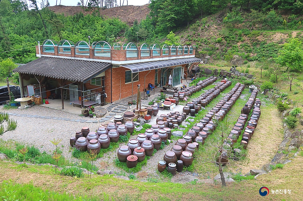하늘맛 사진 3