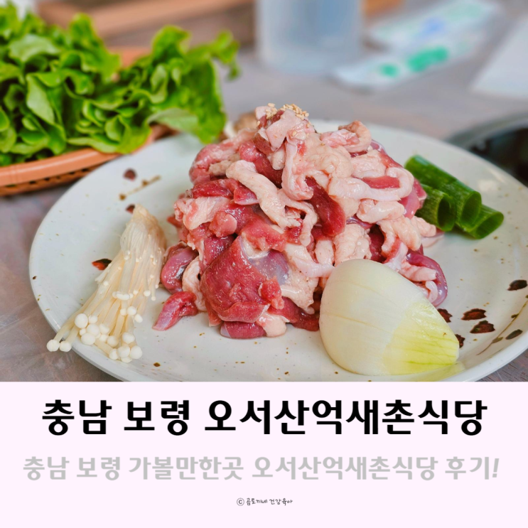 충남 보령 가볼만한곳 오서산억새촌식당 향토음식체험관 충남 보령 가볼만한곳 오서산억새촌식당 향토음식체험관