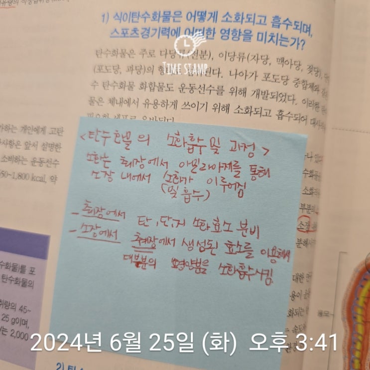  음식 섭취후 영양소의 소화 및 흡수 과정