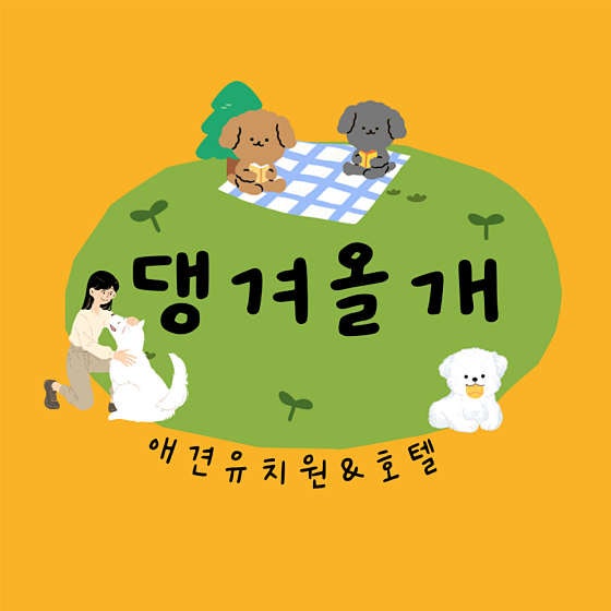 사진 10