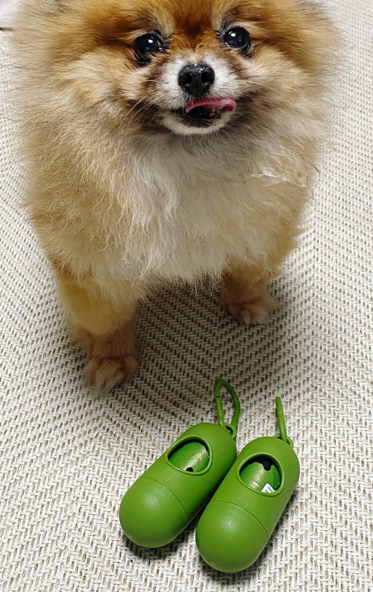  강아지 배변처리, 친환경 배변봉투세트로 해결! [공간다빈]