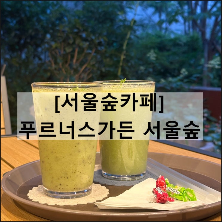  푸르너스가든 서울숲 | 서울숲카페 뚝섬역카페 야외정원