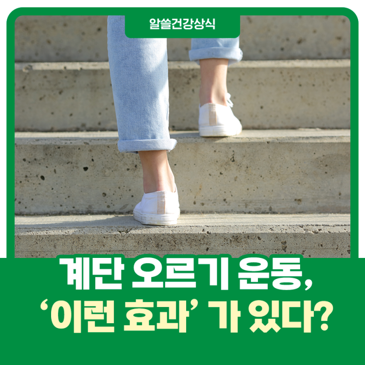  계단 오르기 운동, '이런 효과' 가 있다?