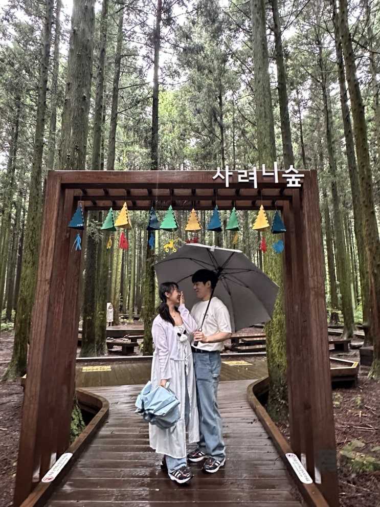  제주 표선 가볼만한곳 l 제주도 사려니숲길 무장애 나눔 길 l 사려니숲길 주차장 l 제주도 비 올 때 가볼 만한 곳