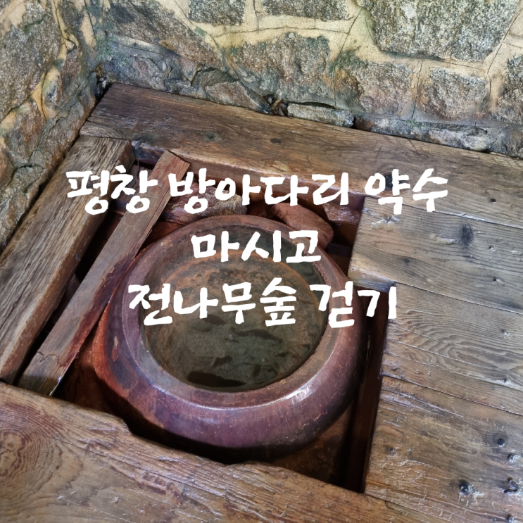  평창 방아다리 약수 마시고 전나무숲 걷기