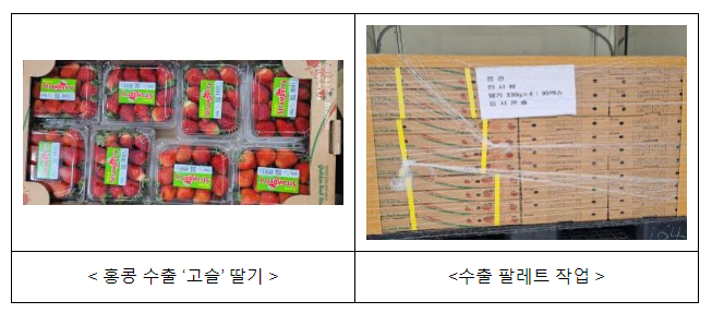 여름 딸기 ‘고슬’ 홍콩에 첫 해외 수출 여름 딸기 ‘고슬’ 홍콩에 첫 해외 수출