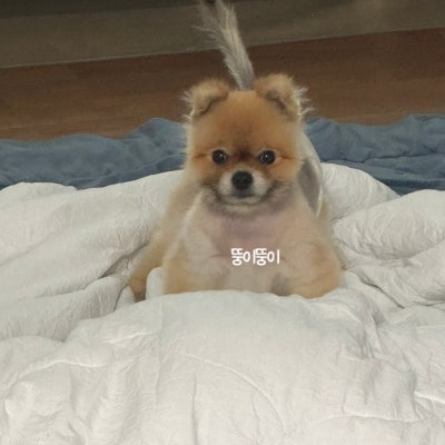 사진 4