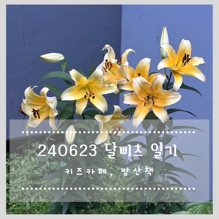  240623 달삐츠 일기 :: 키즈카페, 밤산책