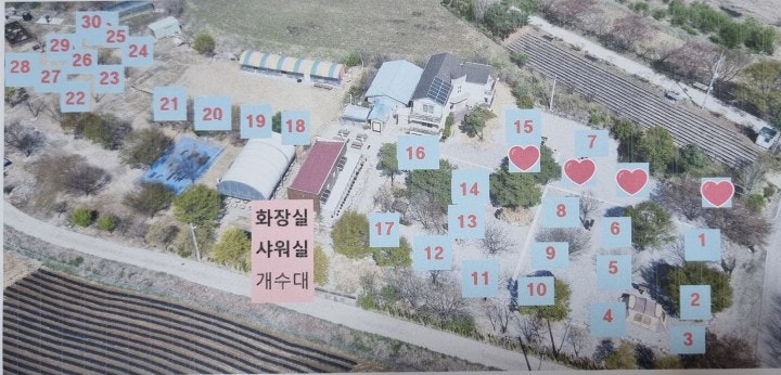 사진 3