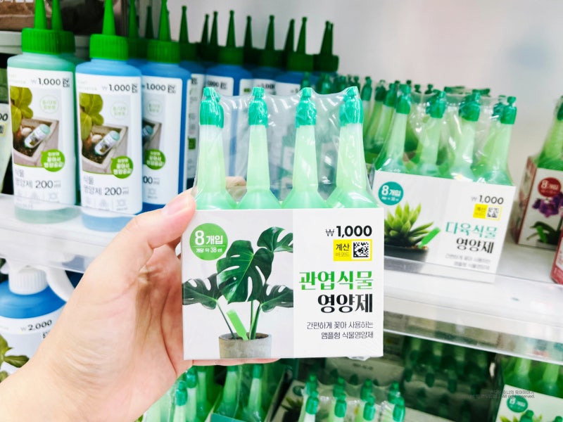 다이소 식물영양제 난초 다육 실내 관엽 식물 수경재배 해충제 사용법