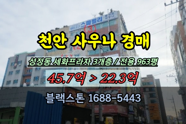  천안시 사우나 경매 성정동 세화프라자 3개층 상가 20억대 옥상수영장 포함