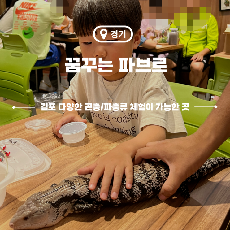  김포 곤충농장 아이랑 다양한 체험이 가능한 꿈꾸는파브르